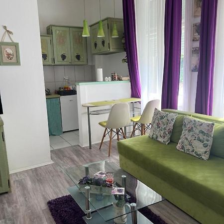 Center Cosy Vintage Apartment Novi Sad Eksteriør bilde