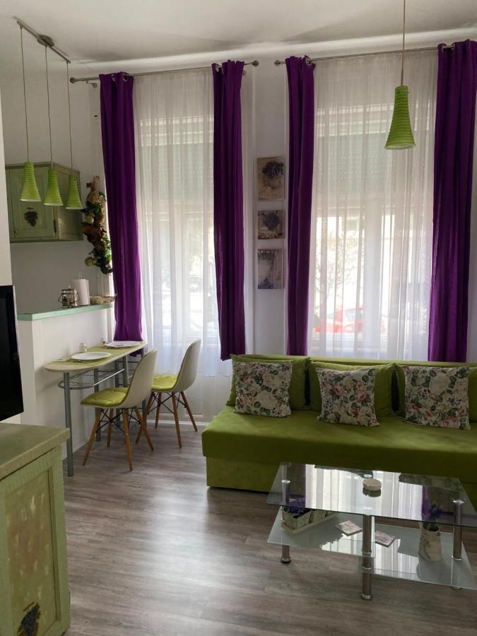 Center Cosy Vintage Apartment Novi Sad Eksteriør bilde