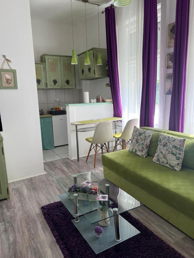 Center Cosy Vintage Apartment Novi Sad Eksteriør bilde